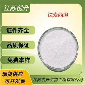法索西坦,Fasoracetam