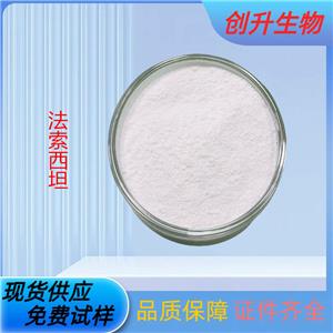 法索西坦,Fasoracetam