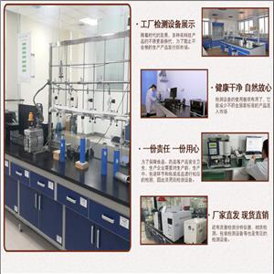 法索西坦,Fasoracetam