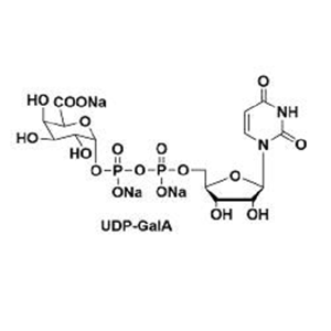 尿苷二磷酸半乳糖醛酸，148407-07-2，UDP-GalA，UDP-galacturonic acid，UDP-A-D-半乳糖醛酸三钠盐