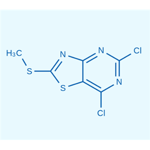 5,7-二氯-2-(甲硫基)噻唑并[4,5-D]嘧啶  87789-35-3
