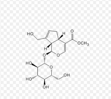 FITC-栀子苷,FITC-Geniposide