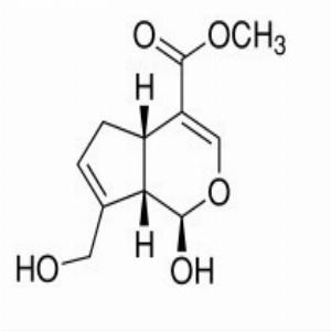 京尼平;格尼泊素,Genipin