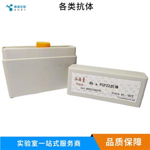 12脂氧合酶抗体,ALOX12 Rabbit pAb
