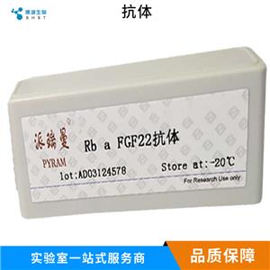 3-磷酸甘油醛脱氢酶（内参）单克隆抗体,GAPDH Mouse mAb, Loading Control