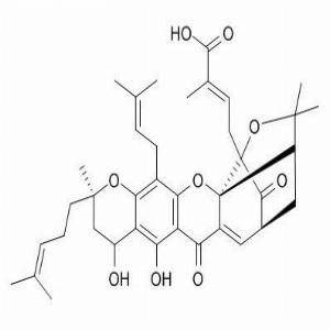 新藤黄酸,neogambogic acid