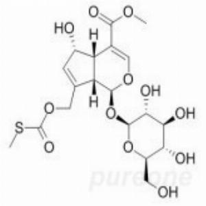鸡屎藤苷甲酯,Paederosidic acid methyl ester