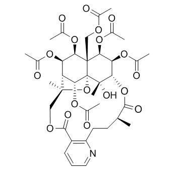 雷公藤新碱,Evonimine