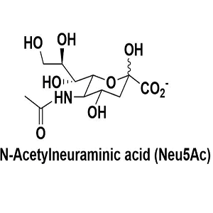 N-乙酰神经氨酸,N-Acetylneuraminic acid
