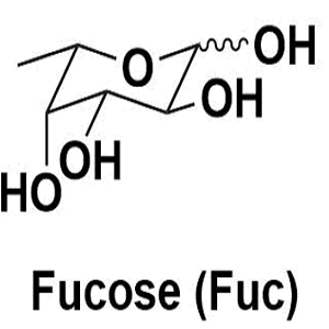 L-岩藻糖,L-Fucose