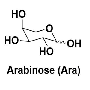 L-阿拉伯糖,L-Arabinose