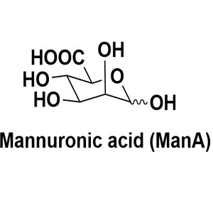 甘露糖醛酸,Mannuronic acid