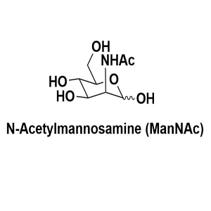 N-乙酰神经氨酸,N-Acetylmannosamine