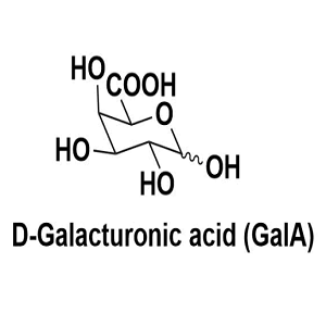 D-半乳糖醛酸,D-Galacturonic acid