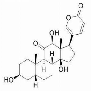 12β-伪异沙蟾毒精(CAS:17008-65-0)