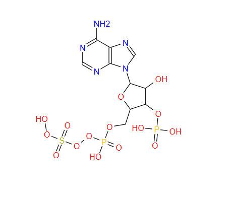 N-Boc-2-哌啶甲酰胺,6-amino-9-[3-hydroxy-5-[(hydroxy-sulfooxy-phosphoryl)oxymethyl]-4-phosphonooxy-oxolan-2-yl]-purine