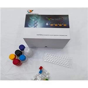 兔6酮前列腺素F1a（6-keto-PGF1a）elisa试剂盒