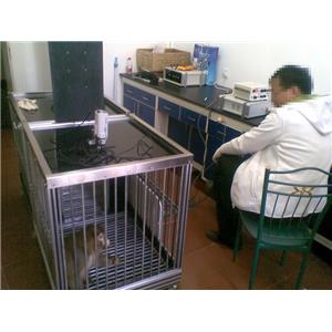 小鼠穿梭箱；大鼠穿梭箱；大小鼠穿梭箱,RL