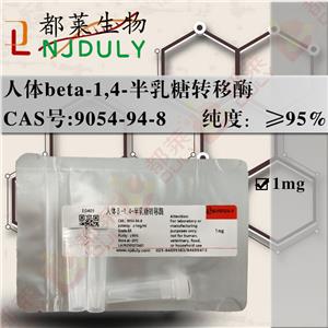 人体β-1,4-半乳糖转移酶
