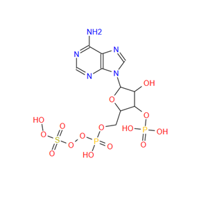 N-Boc-2-哌啶甲酰胺,6-amino-9-[3-hydroxy-5-[(hydroxy-sulfooxy-phosphoryl)oxymethyl]-4-phosphonooxy-oxolan-2-yl]-purine