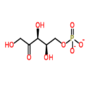 2-戊酮糖 5-(磷酸二氢酯)‌,2-Pentulose 5-(dihydrogen phosphate)