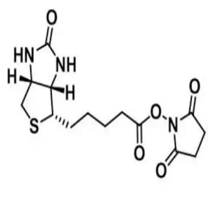 活化酯修饰的生物素,Biotin-NHS ester