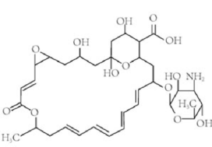FITC-纳他霉素,FITC-Natamycin