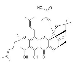 生物素标记新藤黄酸,Biotin-neo-gambogic acid