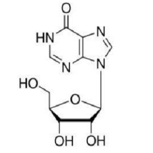 生物素标记肌苷,Biotin-Inosine