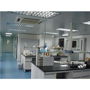 葡糖淀粉酶,Glucoamylase 1,4-α-D-Glucan glucohydrolase