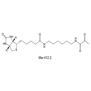 Biotin-Pyruvic acid，生物素标记丙酮酸
