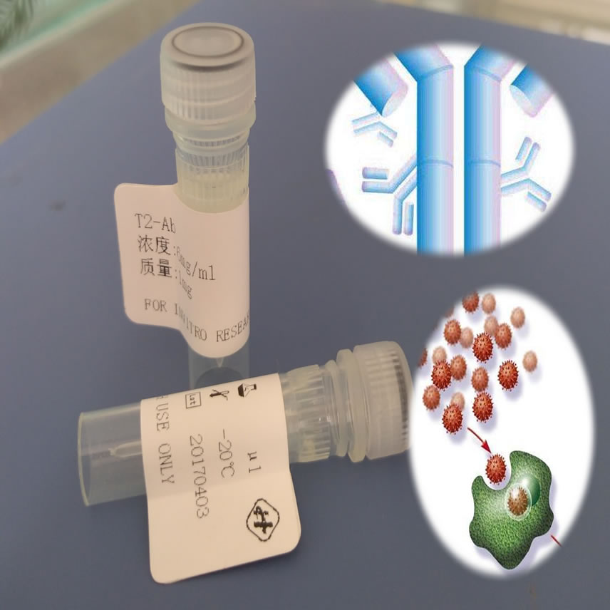 鼠抗四环素单克隆抗体/四环素抗原,Anti-Tetracycline monoclonal antibody