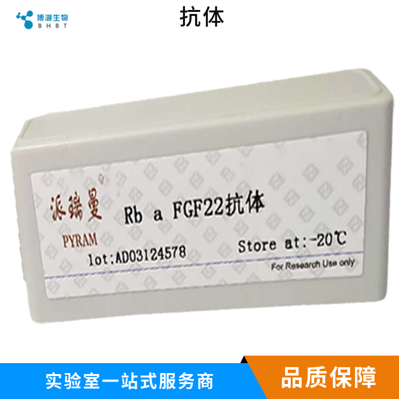 芳香烃受体核转录蛋白样2抗体,ARNTL2 Rabbit pAb