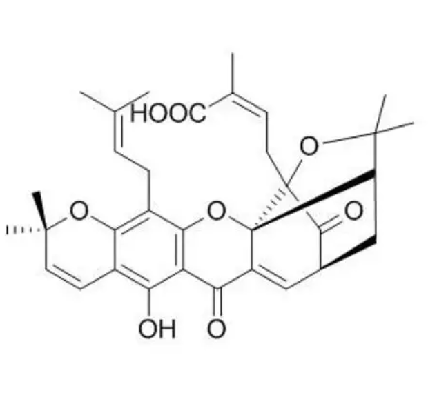 CY3-藤黄酸,CY3-GAMBOGIC ACID
