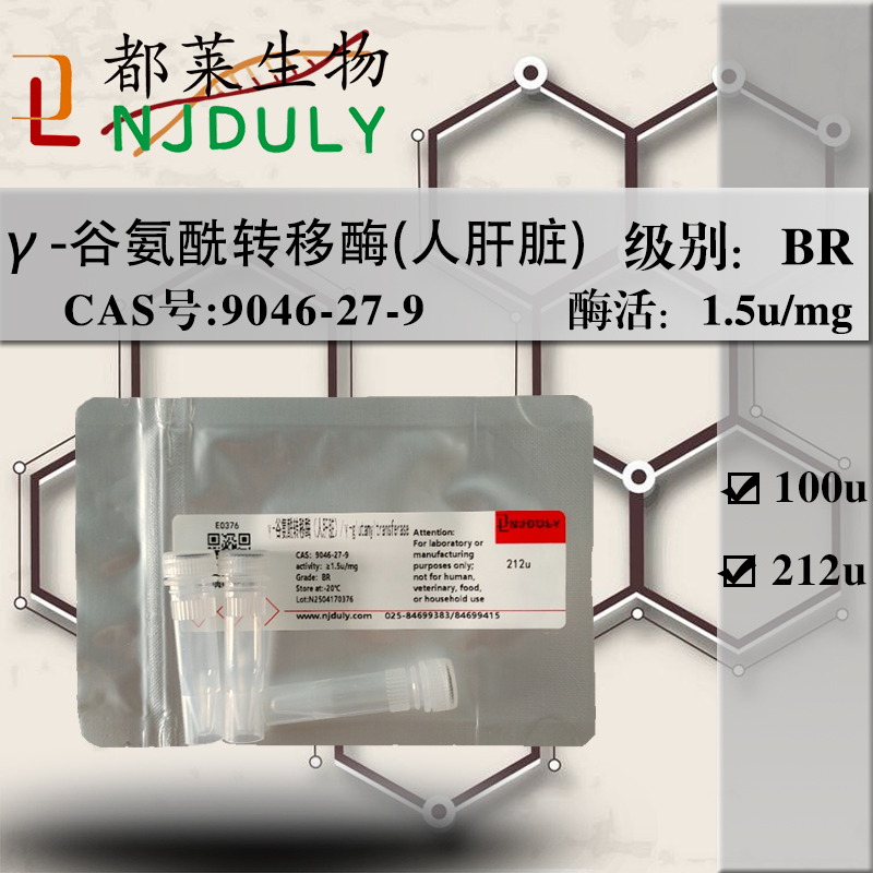 γ-谷氨酰转移酶（人肝脏）,γ-glutamyltransferase, Human liver
