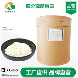 膜分离酪蛋白厂家