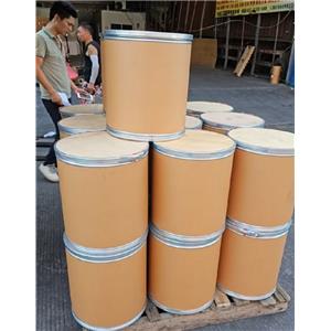 阿戈美拉汀,Agomelatine