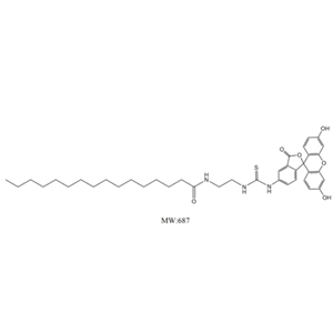 FITC-棕榈酸,FITC-Palmiticacid