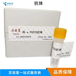 二脂酰甘油酰基转移酶抗体,DGAT1 Rabbit pAb