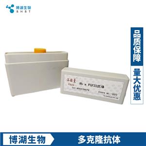 芳香烃受体核转录蛋白样2抗体,ARNTL2 Rabbit pAb