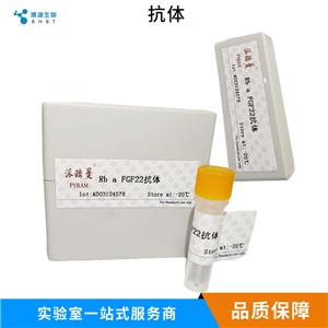 芳香烃受体核转录蛋白样2抗体,ARNTL2 Rabbit pAb