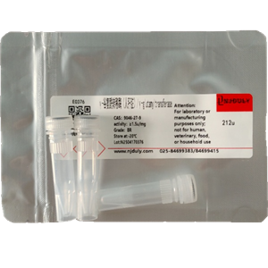 γ-谷氨酰转移酶（人肝脏）,γ-glutamyltransferase, Human liver