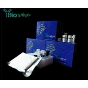 人去乙酰化酶Sirtuin-6(SIRT6)ELISA试剂盒 YB71336Hu