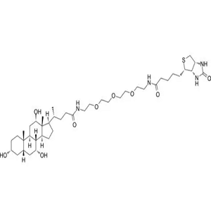 生物素-胆汁酸,Biotin-Cholic acid