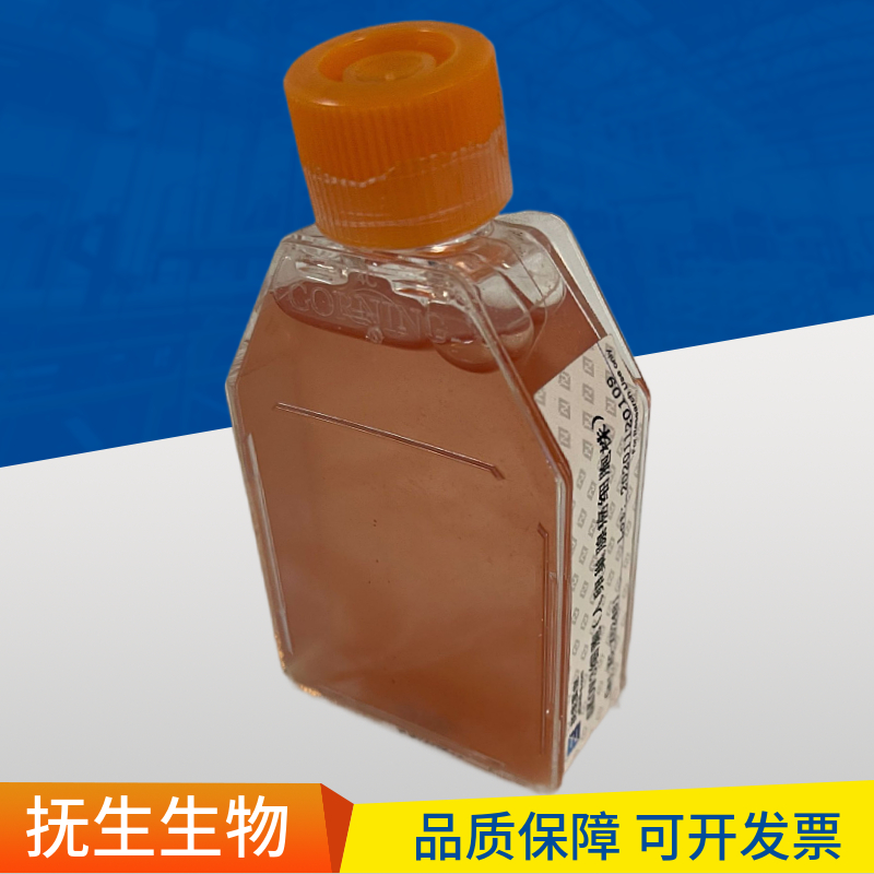 5637（人膀胱癌细胞）,5637:5637