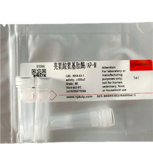 亮氨酸氨基肽酶,AP-M