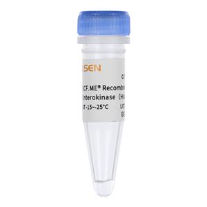 重组肠激酶（His标签）