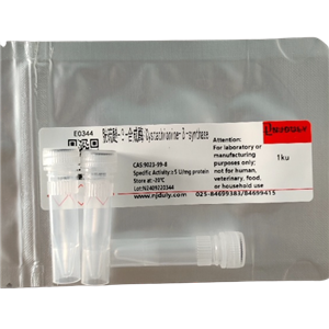 胱硫醚-β-合成酶,Cystathionine-β-synthase