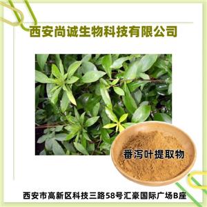 番泻叶提取物,Folium Sennae Extract