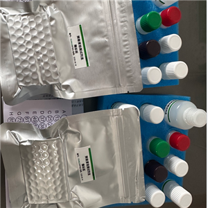 辣椒素检测试剂盒96T